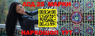 индика Гагарин