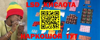 кокс Гатчина