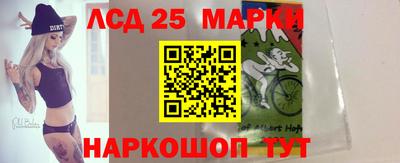 кокс Гатчина