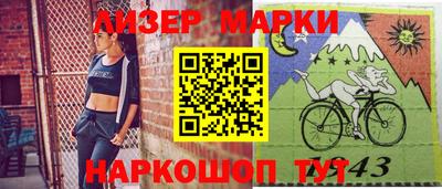 кокс Гатчина