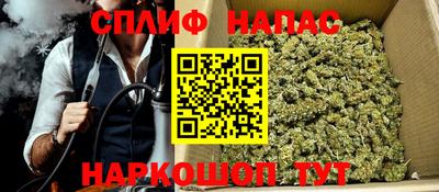 индика Гагарин