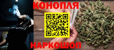 индика Гагарин