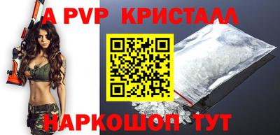 кокс Гатчина
