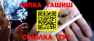 кокс Гатчина